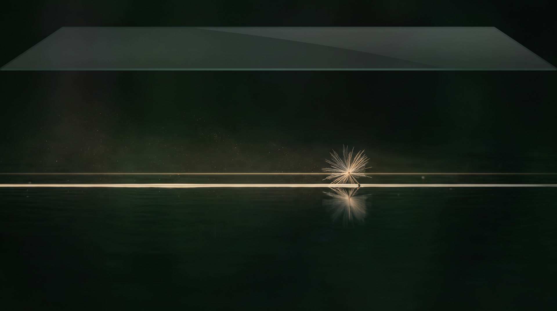 A single pale milk thistle seed resting on the line of light above still dark water.